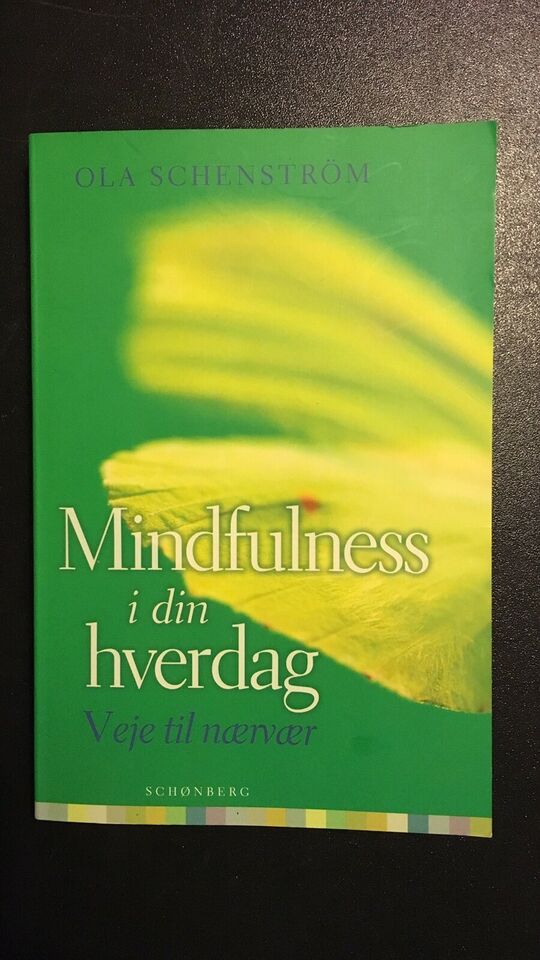 Mindfulness i din hverdag - Ola Schenstr&#246;m