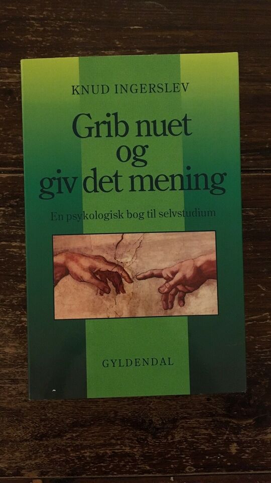 Grib Nuet Og Giv Det Mening - Knud Ingerslev