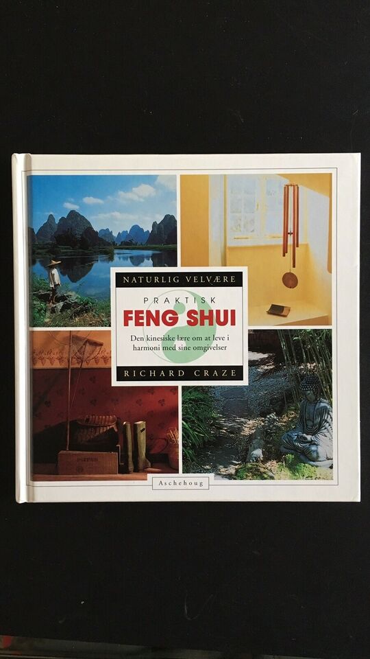 Praktisk Feng Shui - Richard Craze