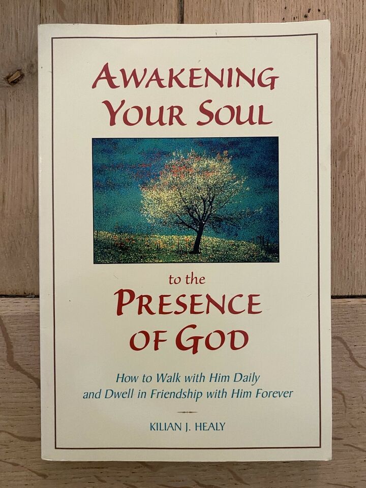 Awakening Your Soul - Kilian J. Healy