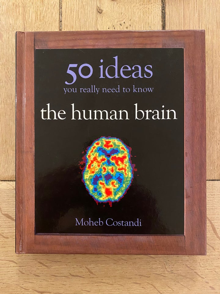 50 Human Brain Ideas You Really... the human brain - Moheb Costandi
